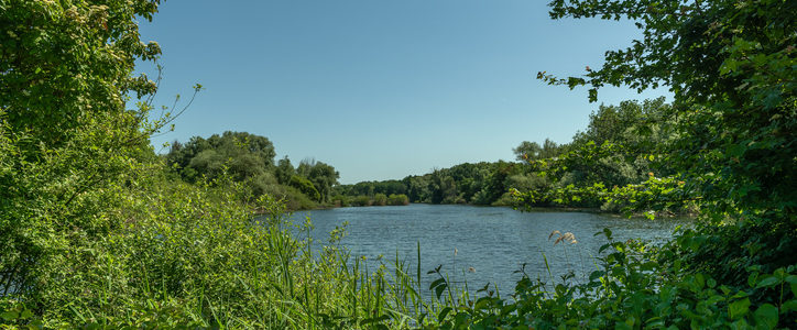 Idyllische Spaziergänge in Bergen-Enkheim: Die Natur erleben