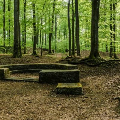 Limesreste nahe Kastell Kapersburg
