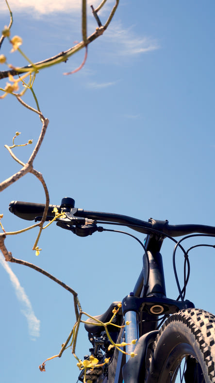 Fahrradtouren im Wetteraukreis